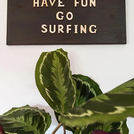 Ferrel Surf House Albergue *